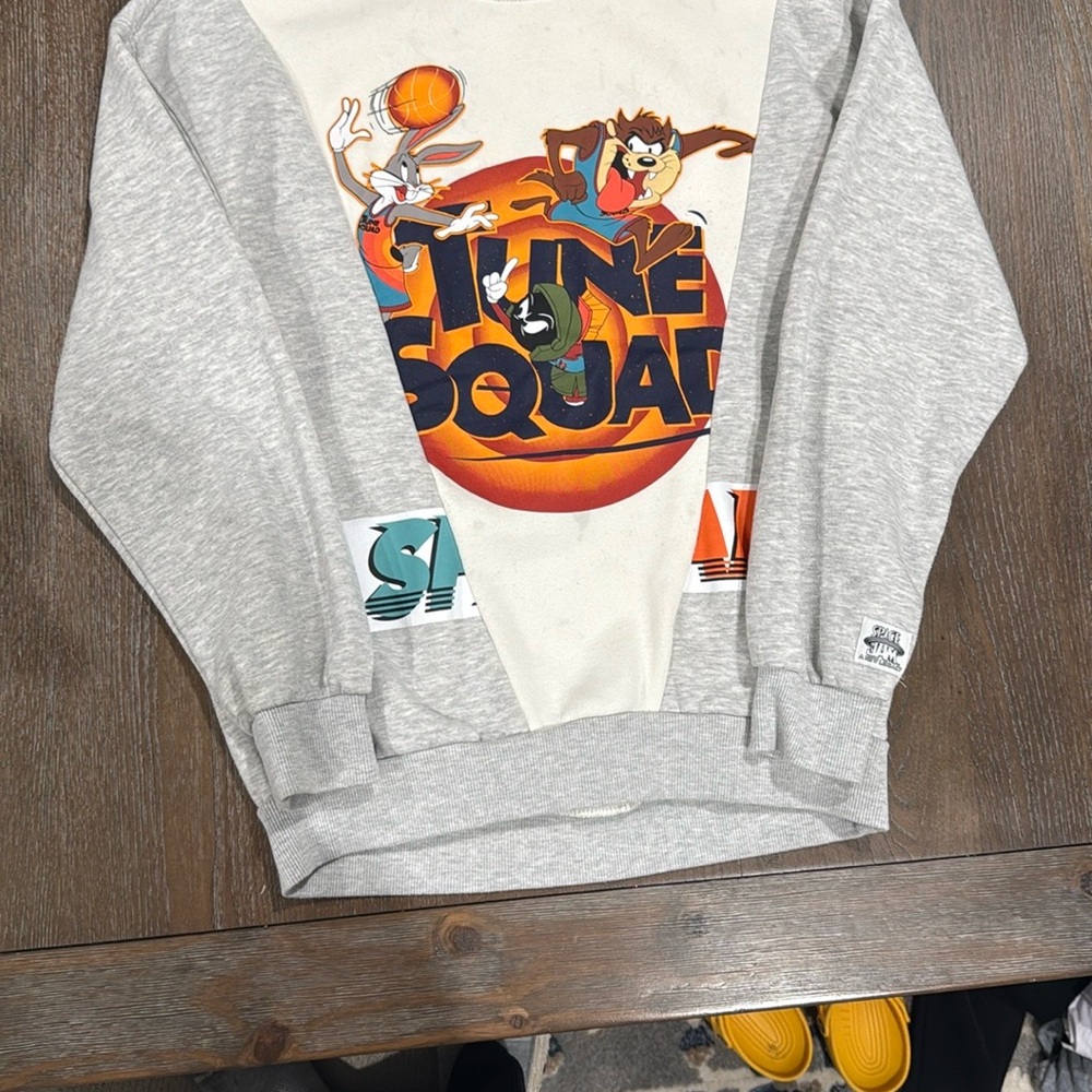 Space Jam Gray Sweater